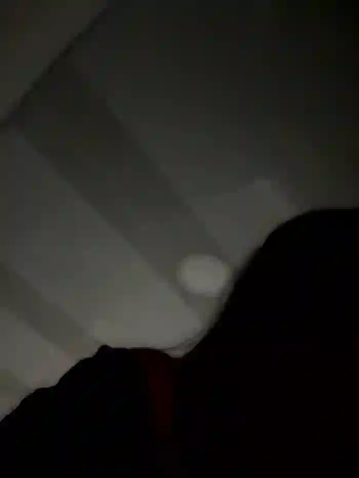 carolina__star