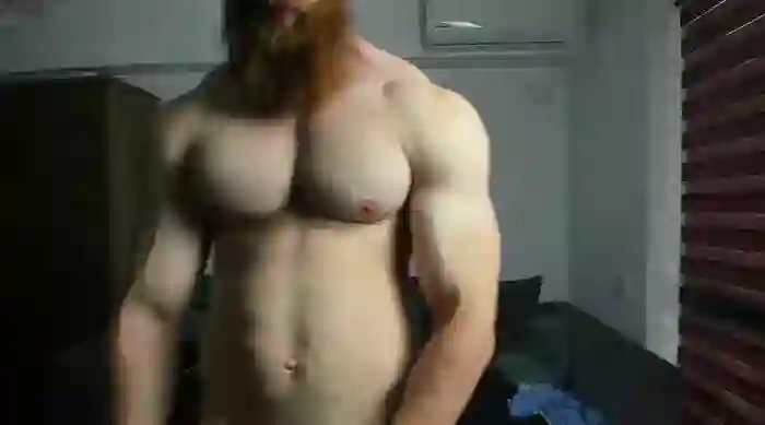 ZkkBlitz