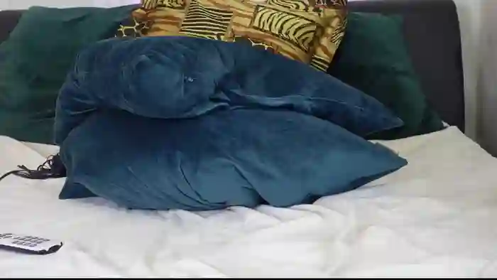 AishaAmiri