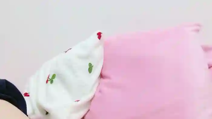 Hina2212