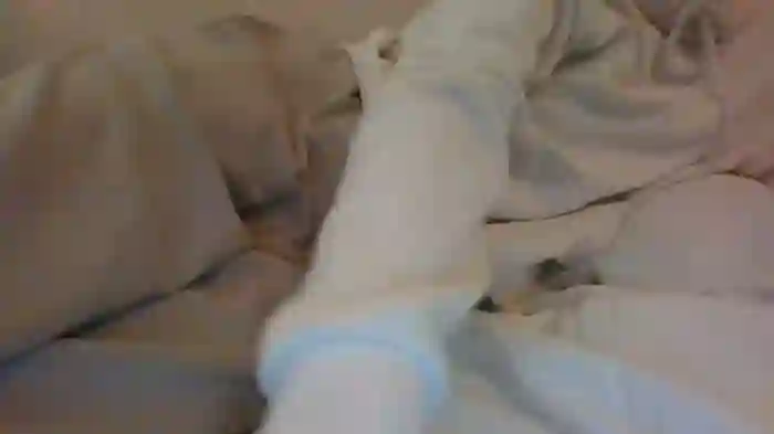 Sofiasbus