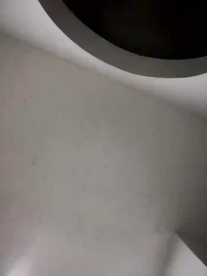 carolina__star