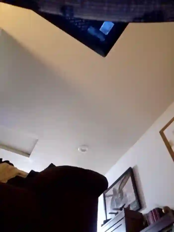 Armyexhibitionistvet