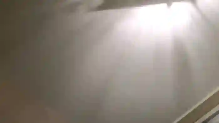 LuluQueen18