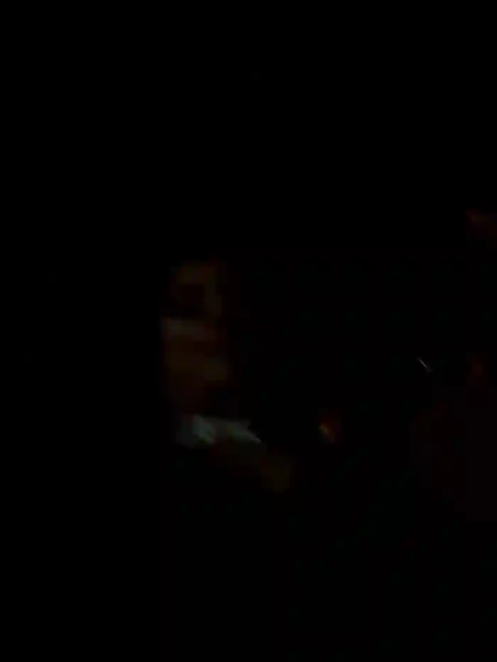 lilyfay