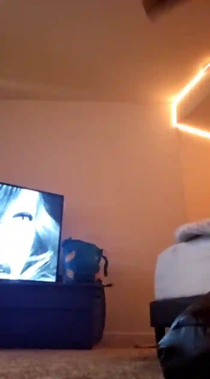 Armyexhibitionistvet