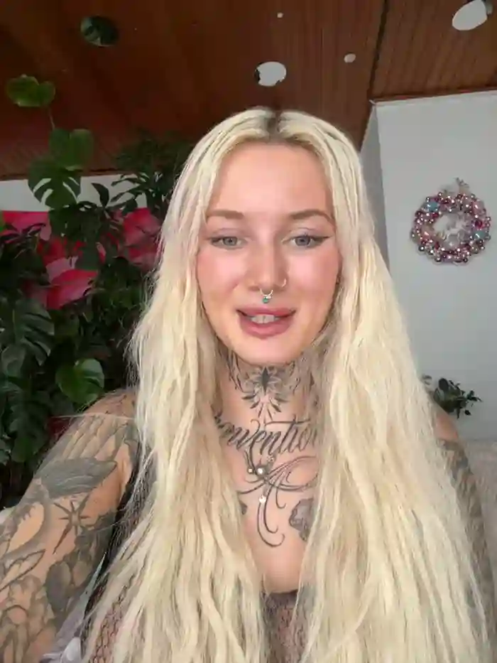 Stella-Kink