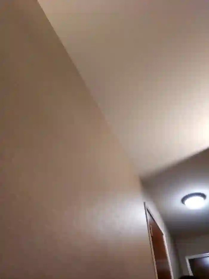 Armyexhibitionistvet