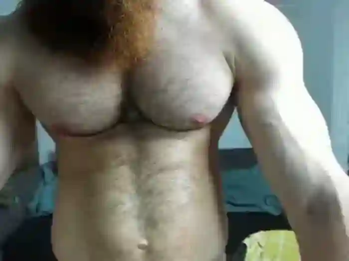 ZkkBlitz