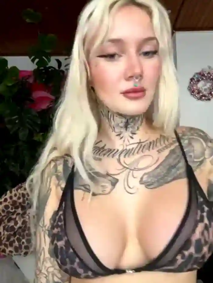 Stella-Kink