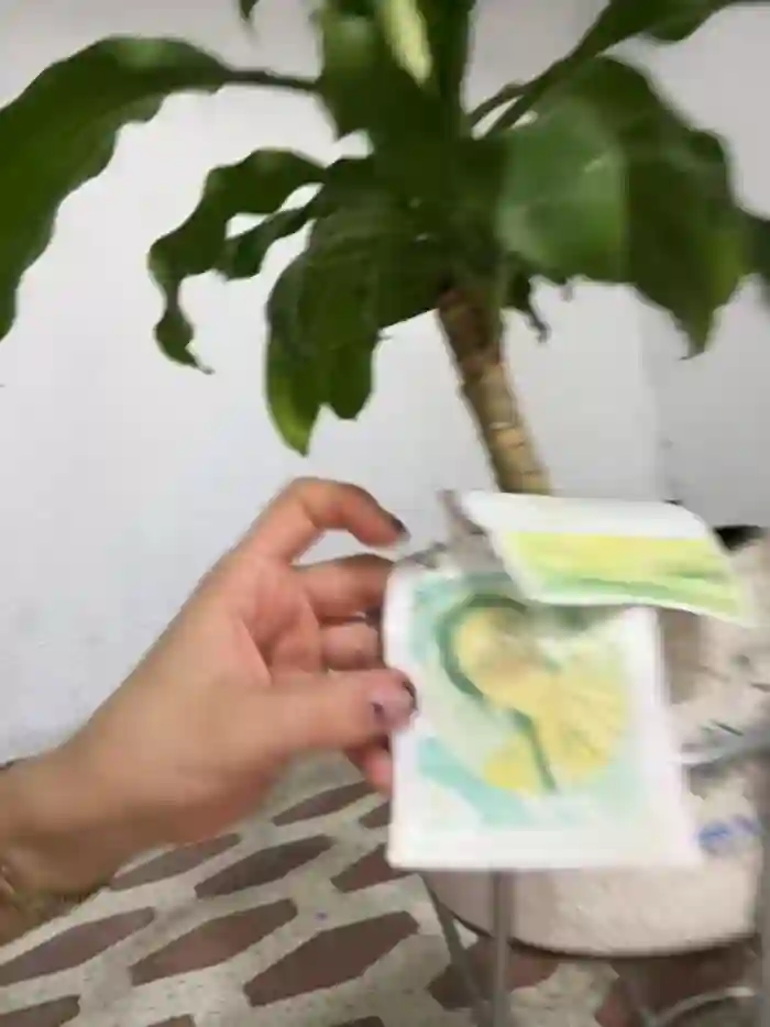carolina__star