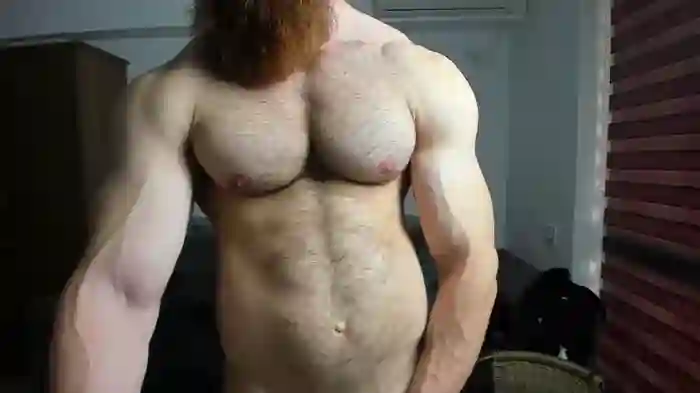 ZkkBlitz
