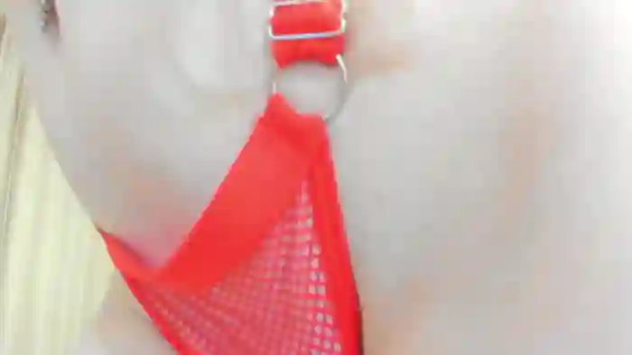 Mila_Polly_and_Forester_