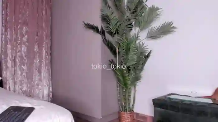Tokio_Tokio