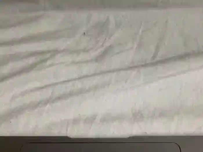 Alaa_Sondos