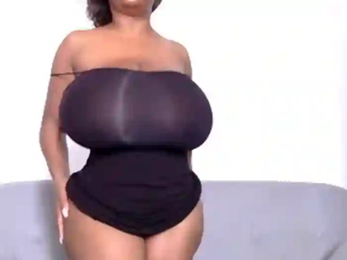 katt008