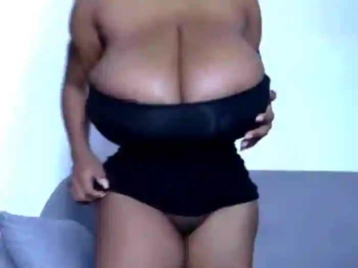 katt008