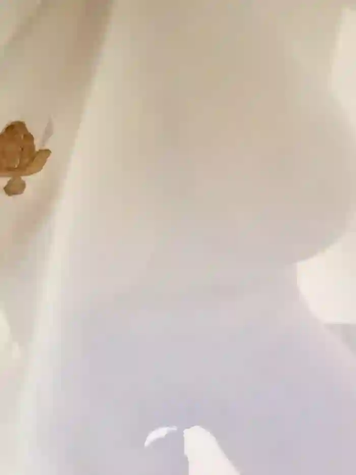 angel_demon17