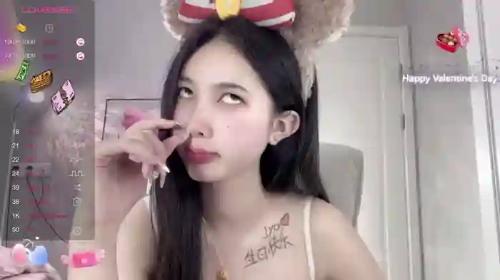 Aami-521