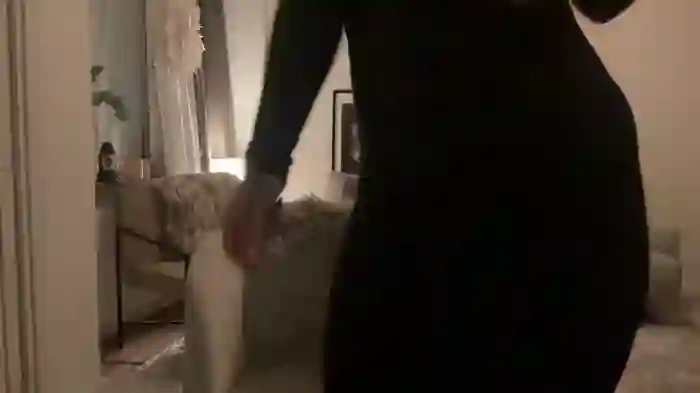 Sofiasdream