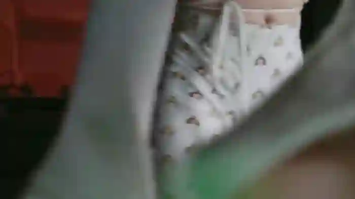 Cassycum