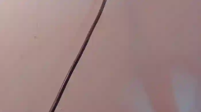 LambaKaif