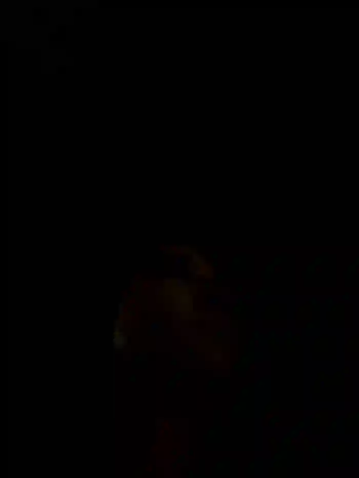 joanaelaa