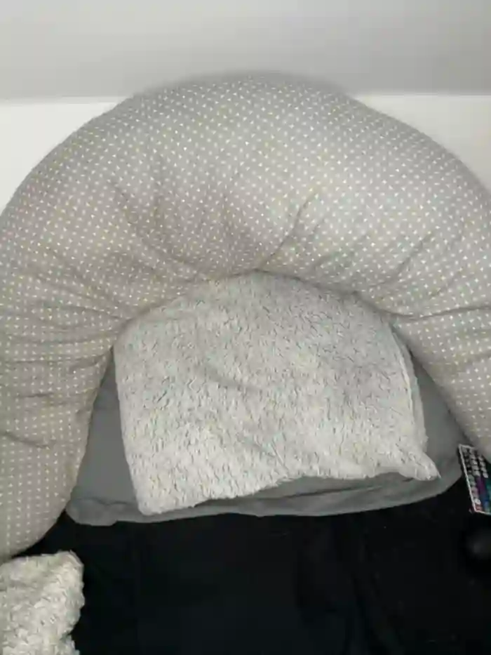 Lena_Lang
