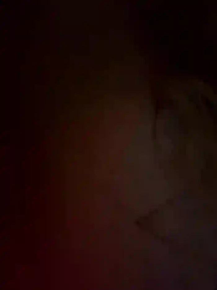 Sophie_Enzo