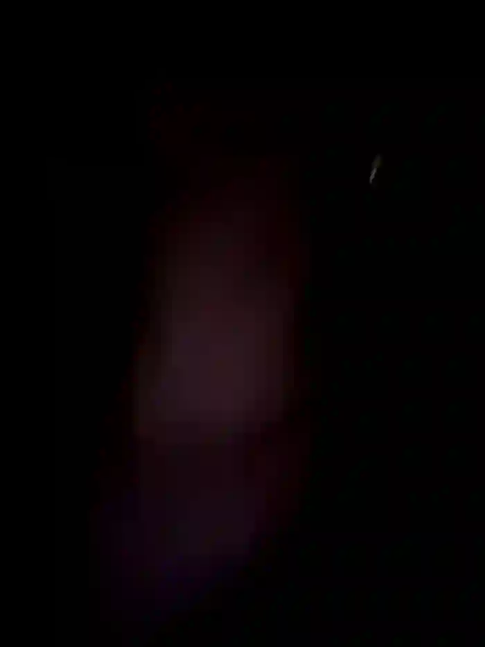 carolina__star
