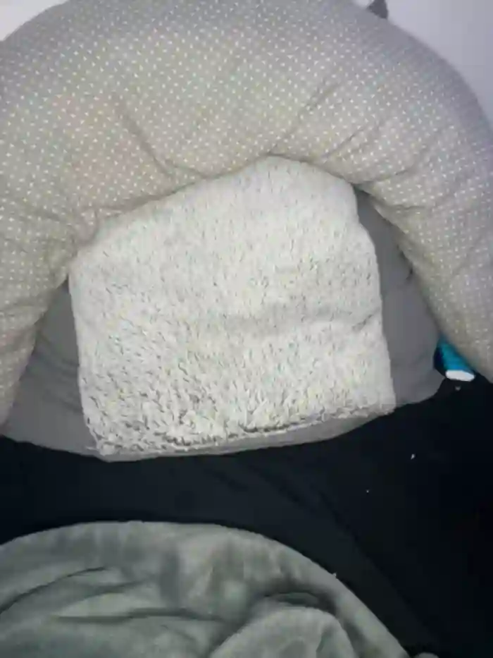 Lena_Lang