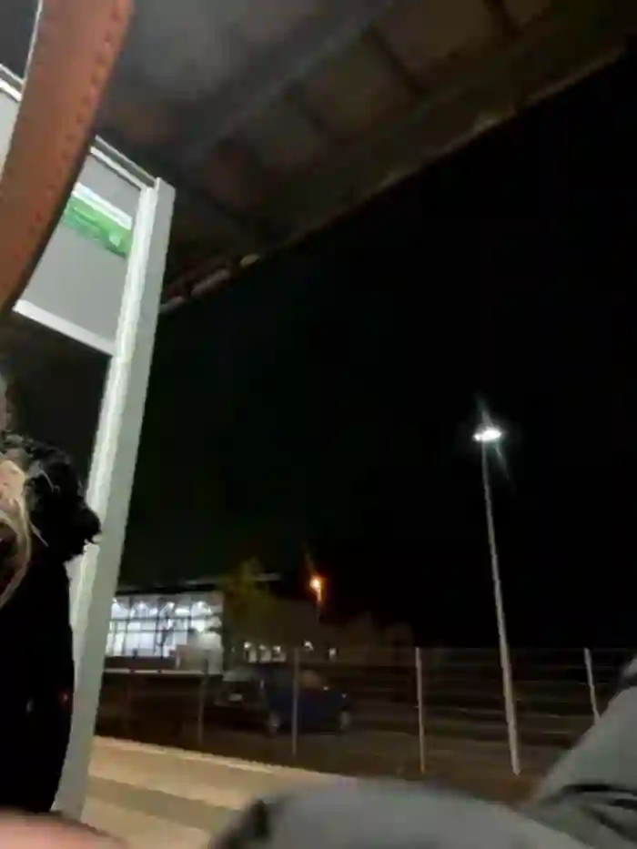 joanaelaa