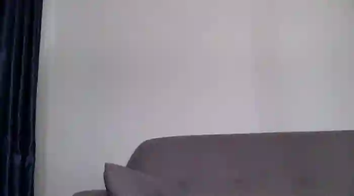 katt008