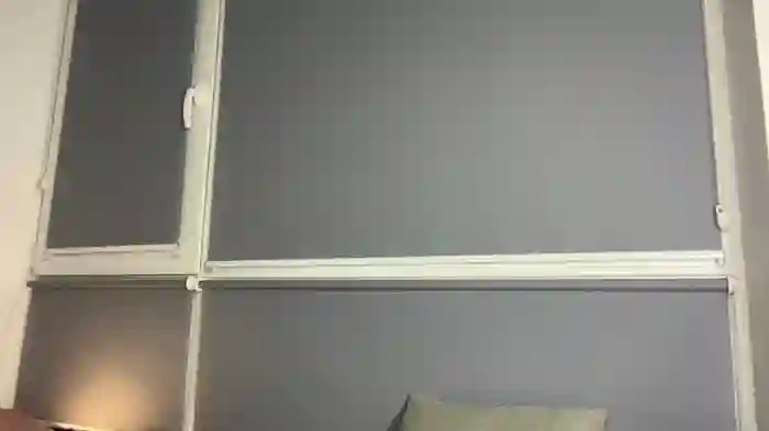 little_fox_alisa