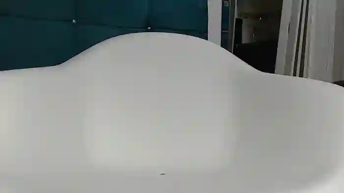 hair_fisting