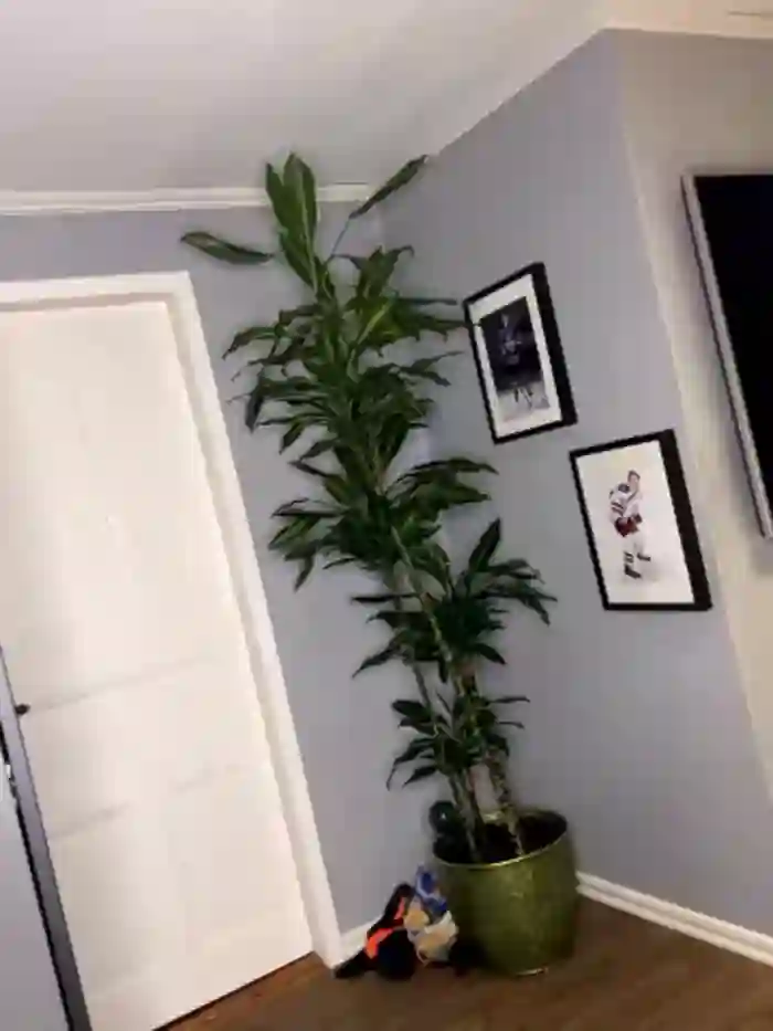 josefine_svensson__02