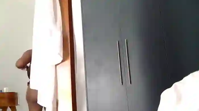 katt008