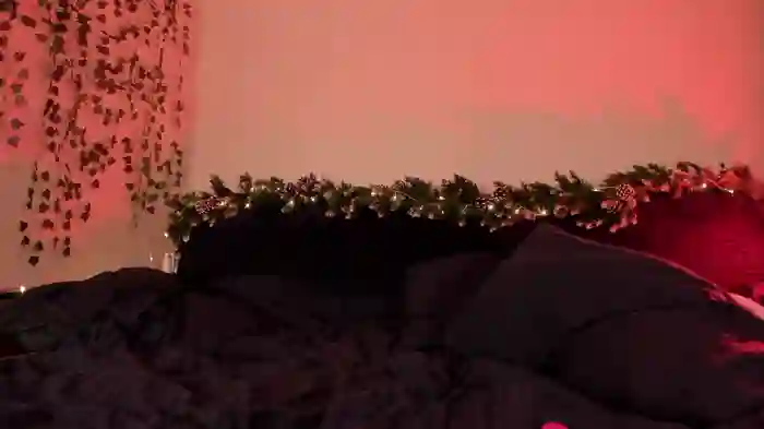 may_meowww