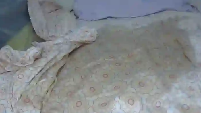 Sex-in-istanbul