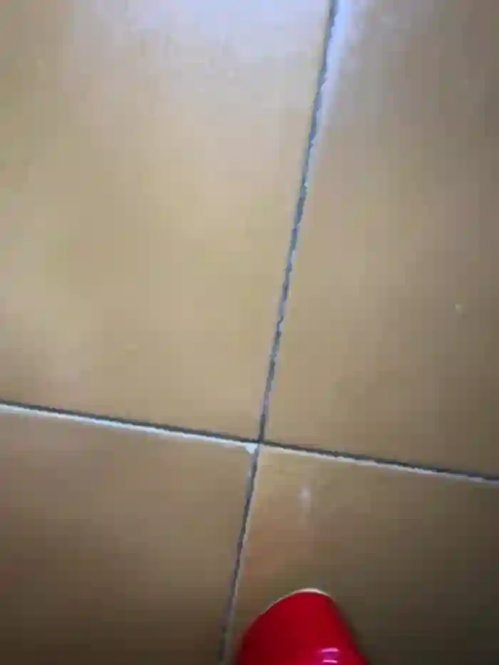 Wet-Pussycat