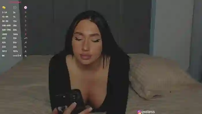 qsstess
