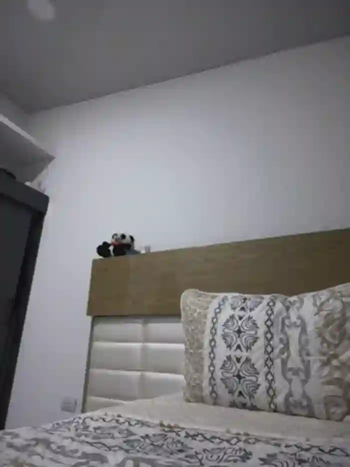 carolina__star