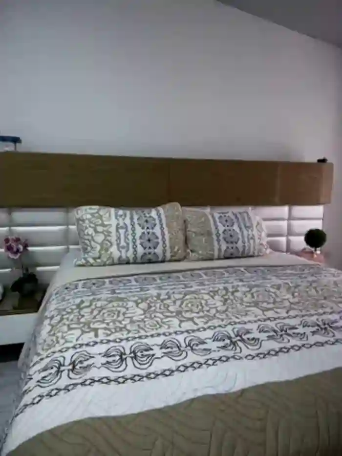 carolina__star