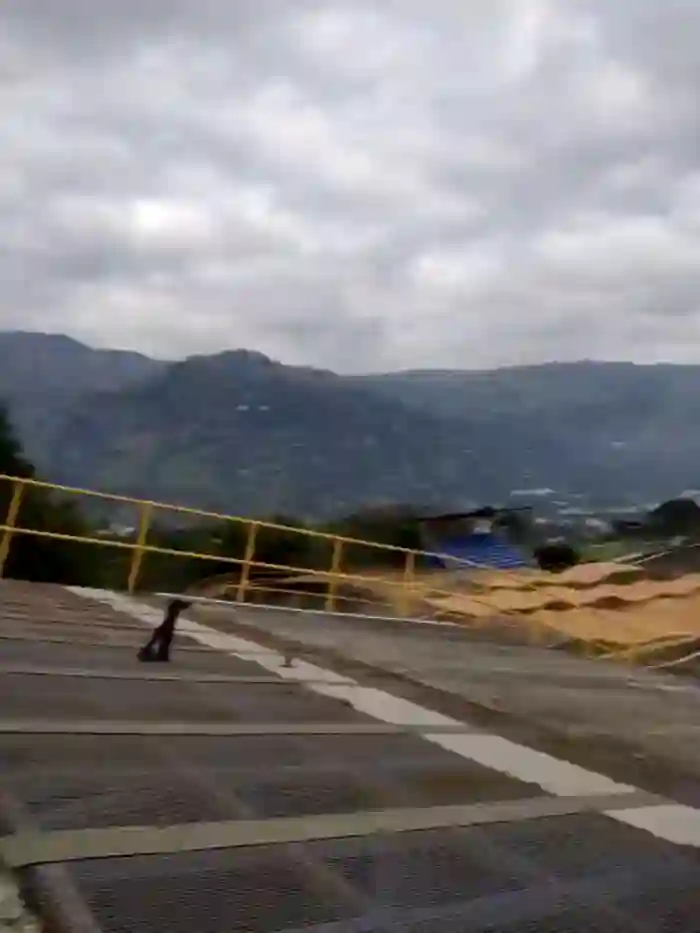 pleasure_and_fantasy