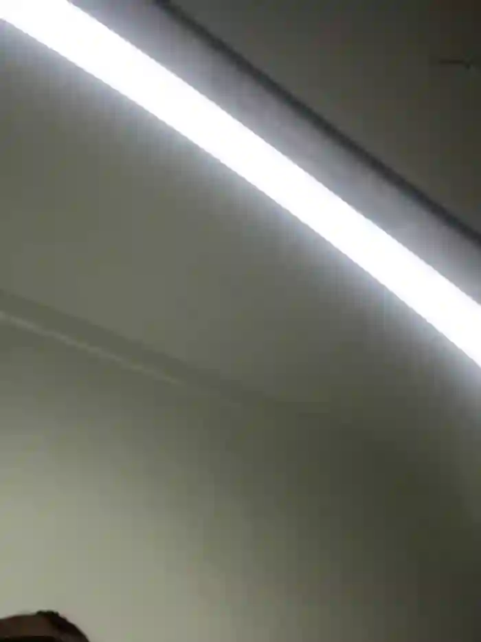 QueenDina777