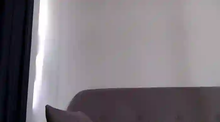 katt008
