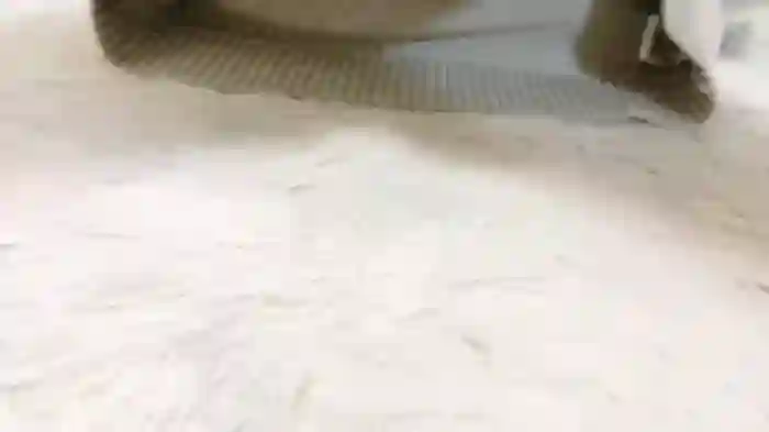 _aoi_jp
