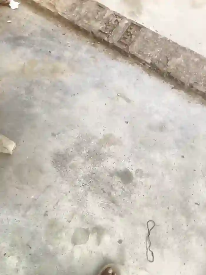 Radha-_-Ass--Queen-_