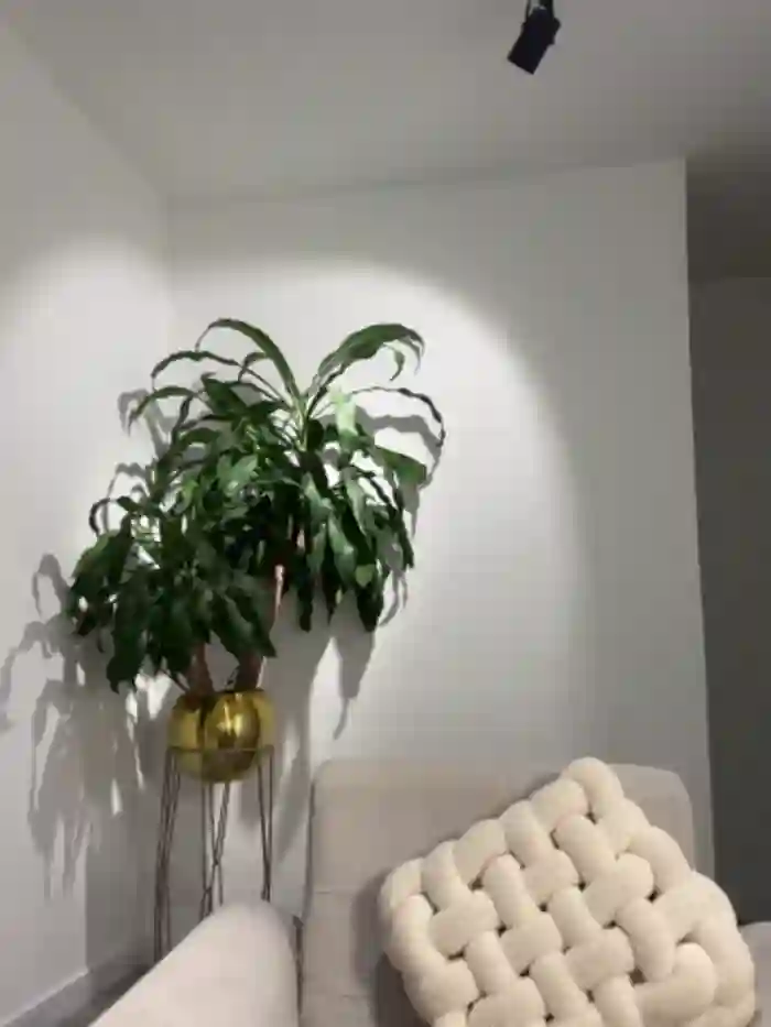 EllaSanz_