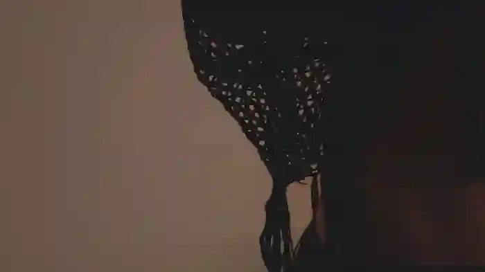 alittlestarrr
